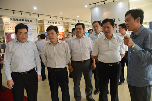 Вице-губернатор провинции Чжэцзян Мао Гуанли провел исследование для XINCHAI
